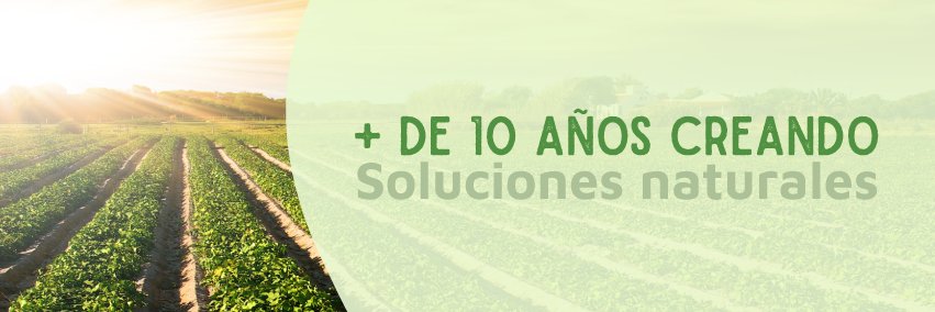 Novasys Pharma banner