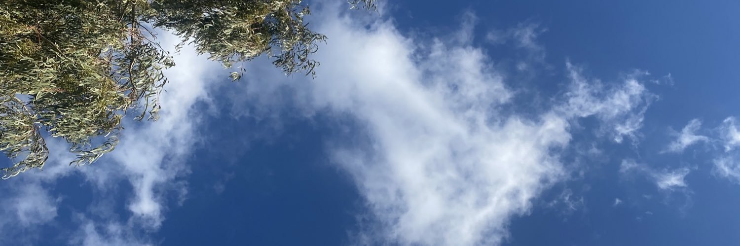 Julia 🌸🌸 banner