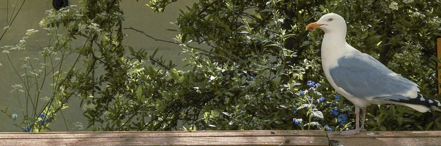 carlchencc's profile banner image