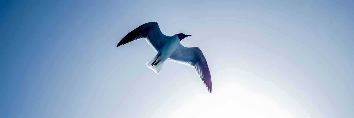 uptimind's profile banner image