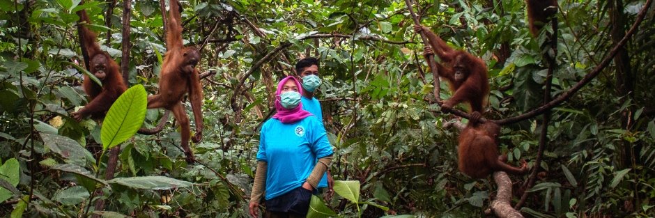 International Animal Rescue banner