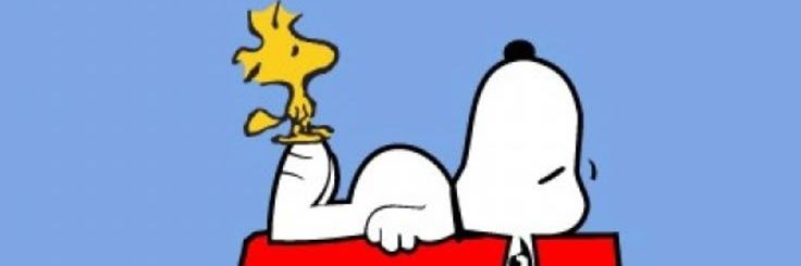 🐶みのっち🐱 banner
