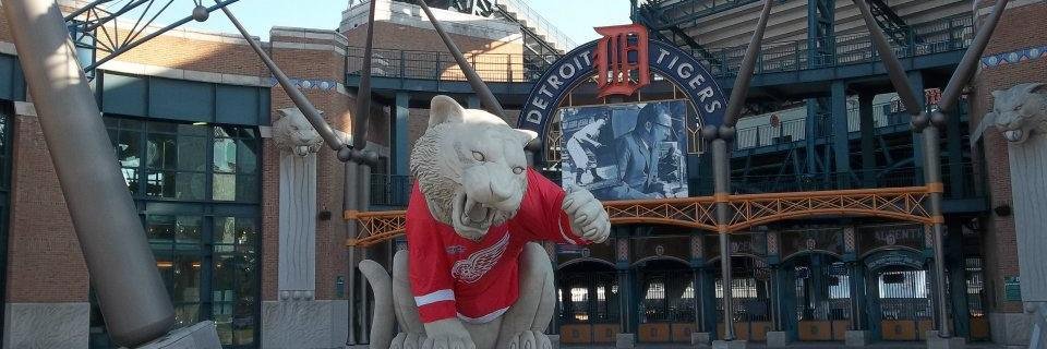 ckb11's profile banner image