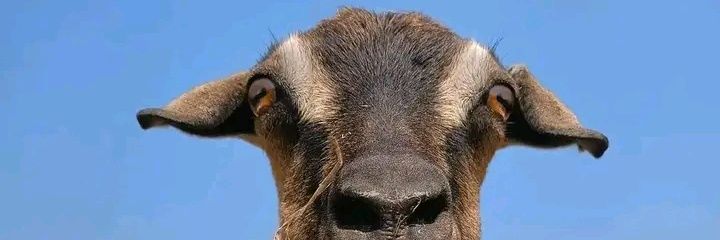 amyz999's profile banner image