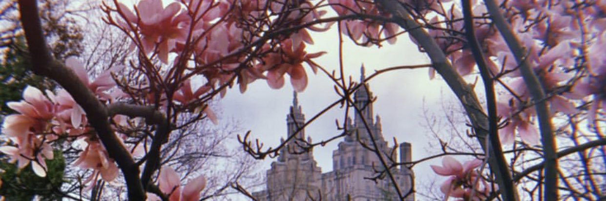 peachjul's profile banner image