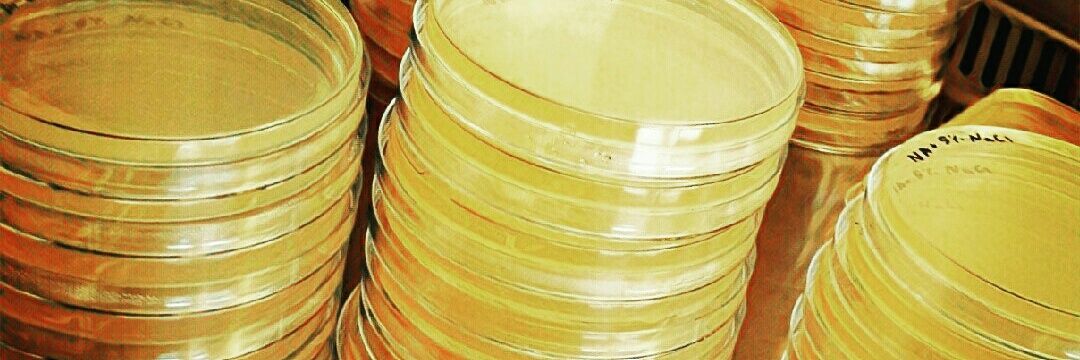 FrndlyBacteria's profile banner image