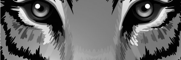 walter_jasso's profile banner image