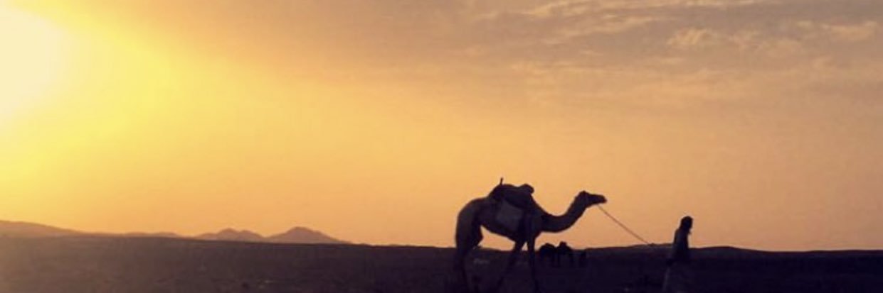 غالب بن زميع الرجباني banner