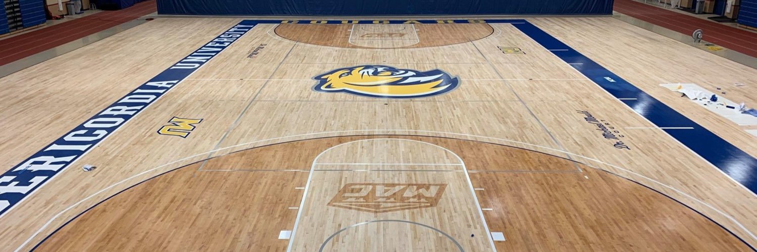 Misericordia Women’s Basketball banner