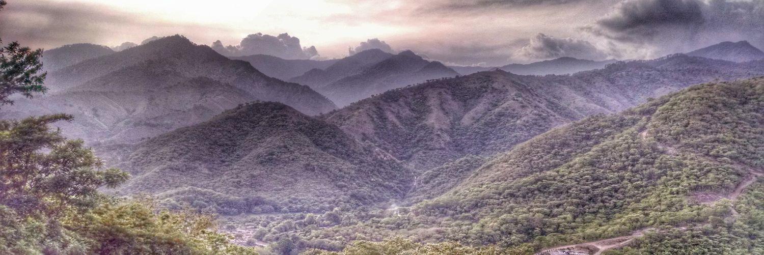 ctallman's profile banner image