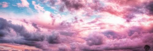 Lese_Lese's profile banner image