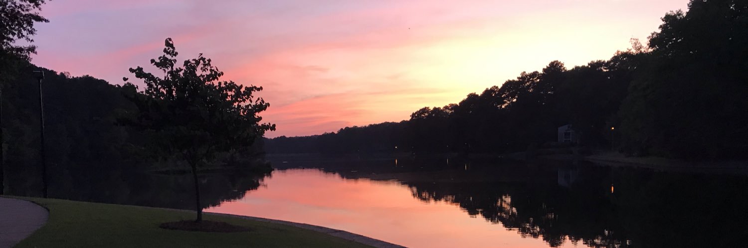 cherfoli's profile banner image