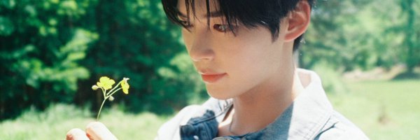 hamnyannnn Profile Banner