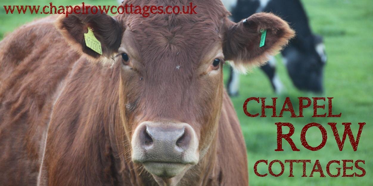Chapel Row Cottages (@ChapelCottages) / Posts / X