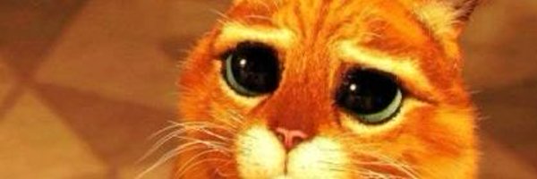 chloe_xozy Profile Banner