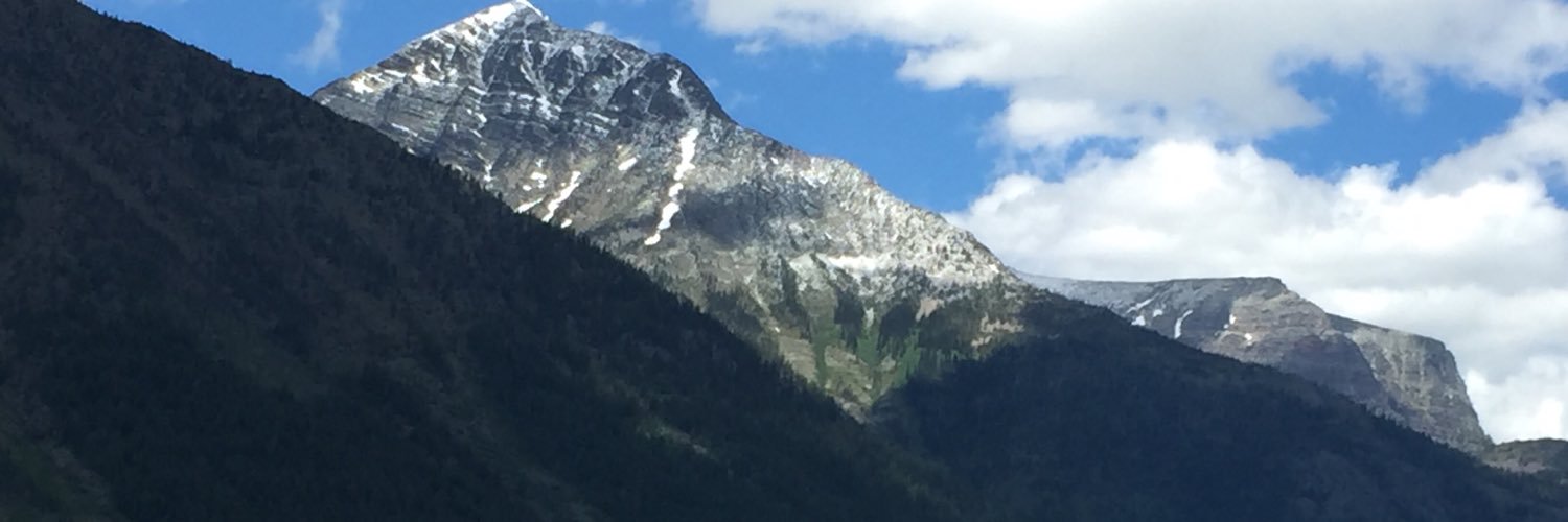 StephanieDvorak's profile banner image