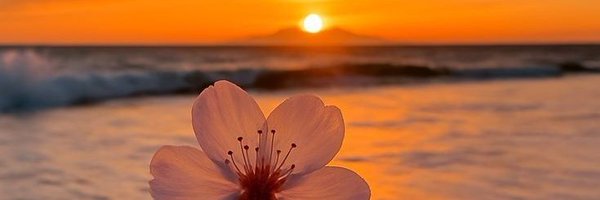 shaonsarker69 Profile Banner