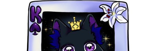 Zenko banner