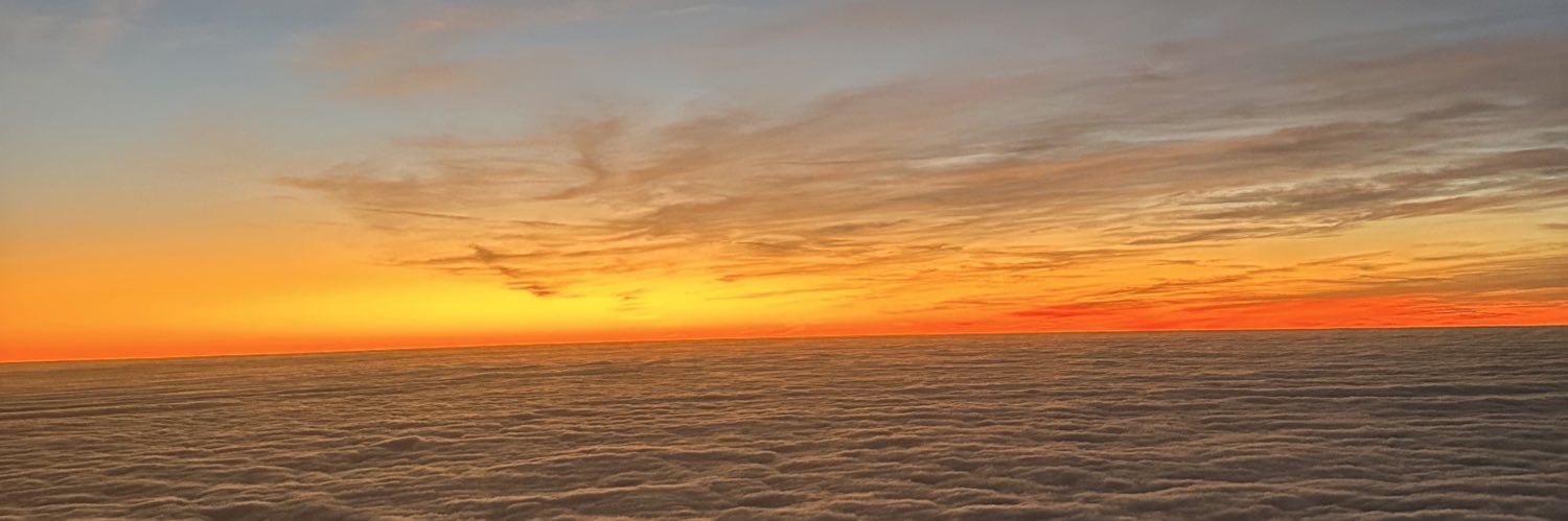 lea_constanzo's profile banner image