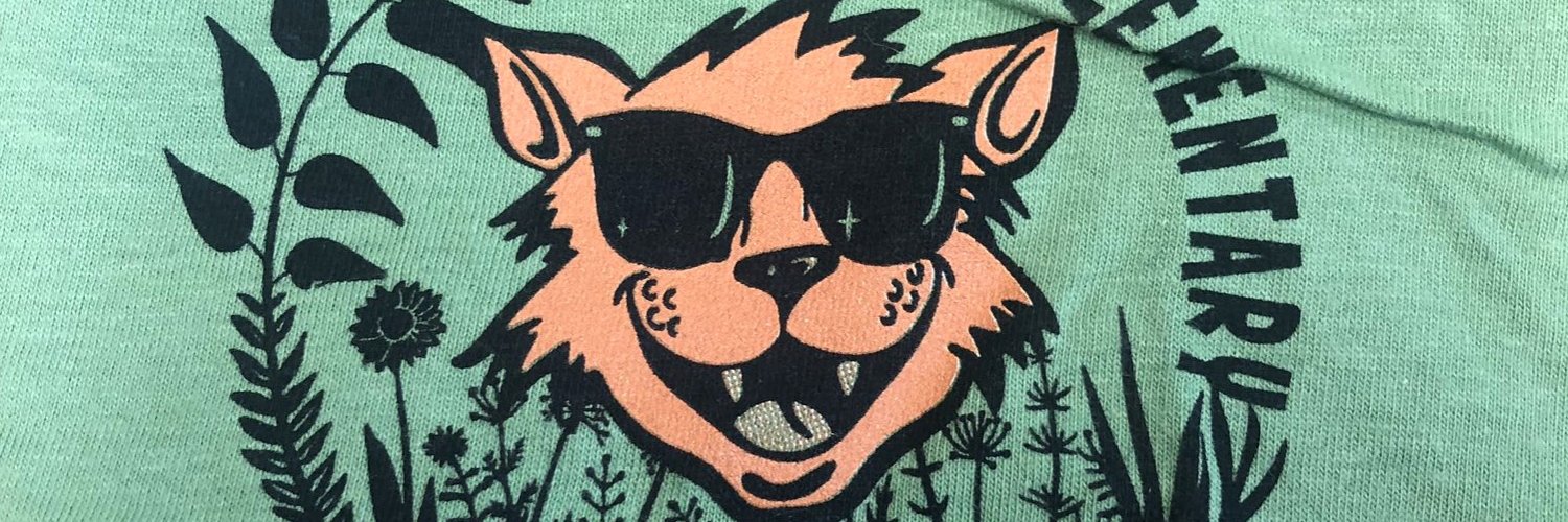 Diplomat Elementary School banner