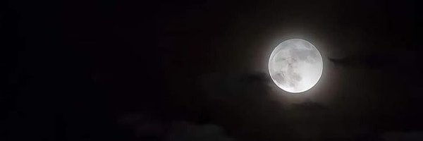 ImNotSean21 Profile Banner