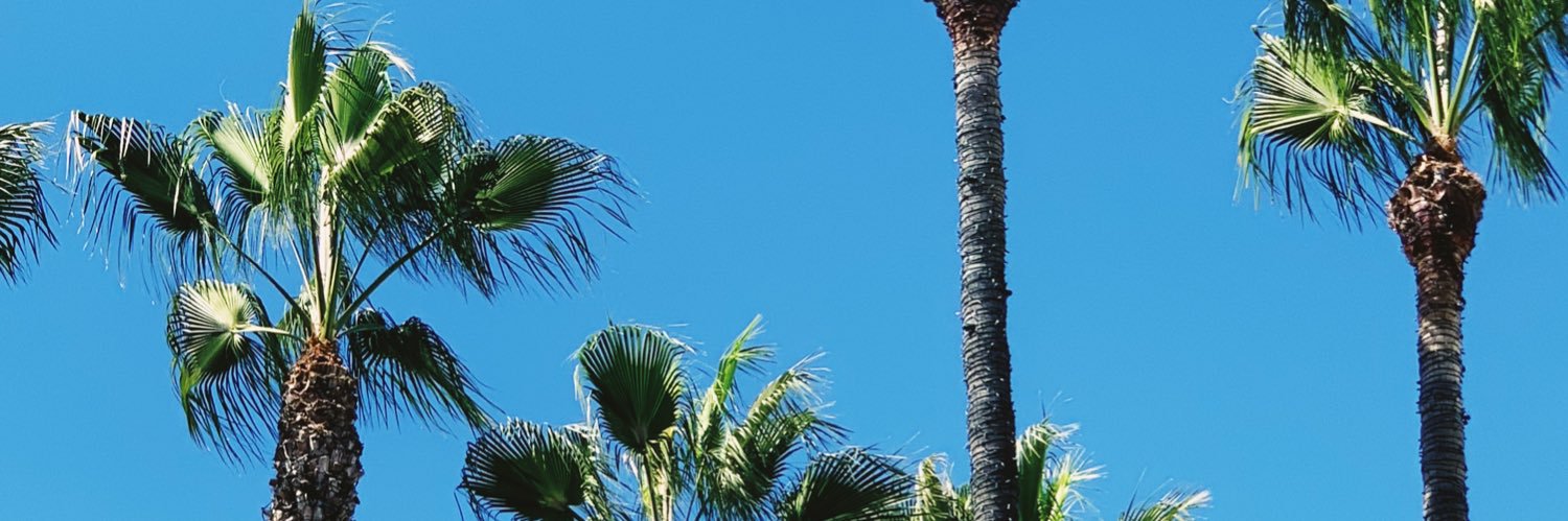 camposped's profile banner image