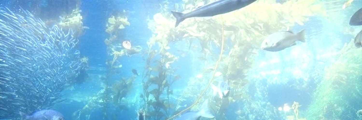 𝓃izu ꩜ dae-ho's gf's banner