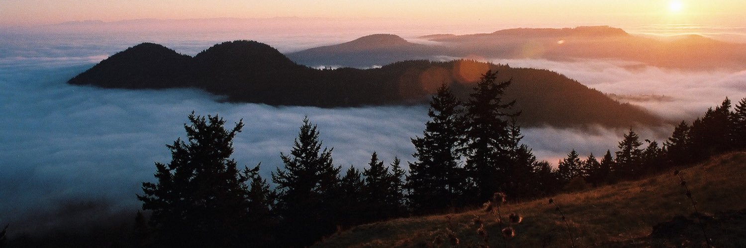 LEVYfilms's profile banner image