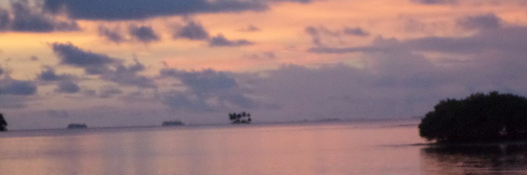 AlannMagno's profile banner image