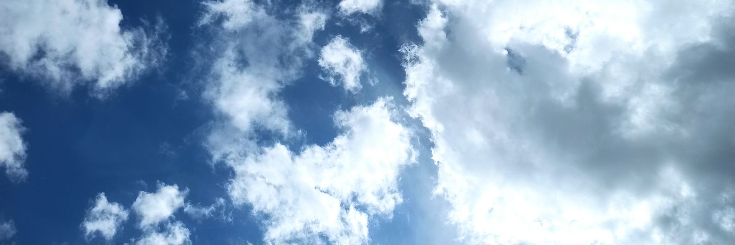AfroLavendula's profile banner image