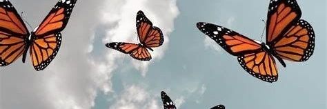 Romiisb_'s profile banner image