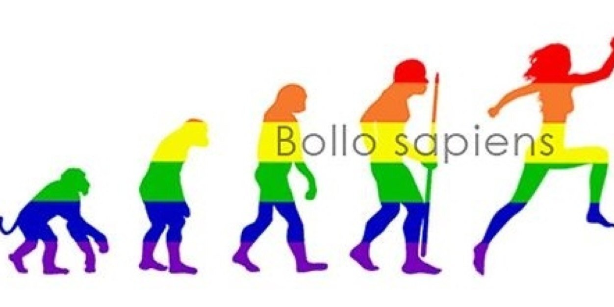 Bollo_sapiens's profile banner image