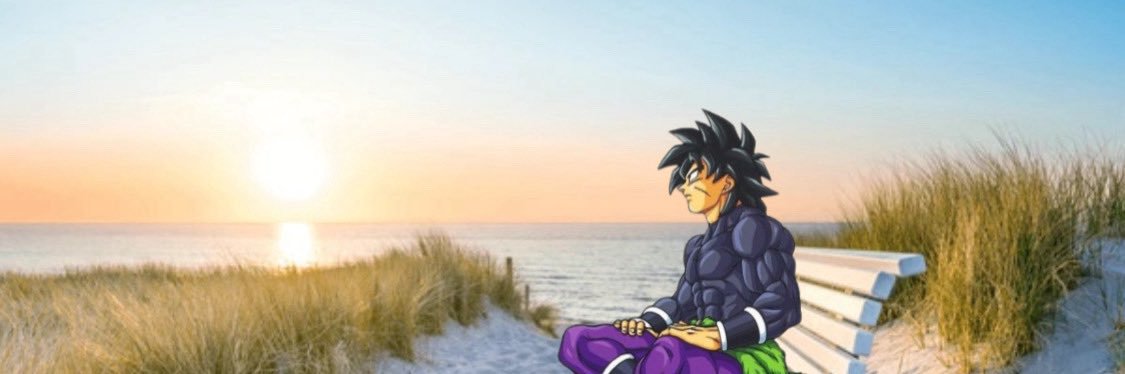 BROLY 🍉's banner