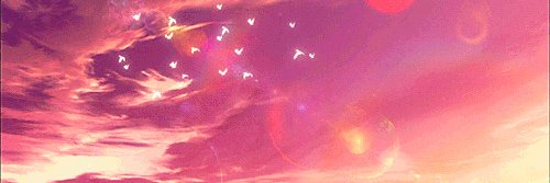 reham banner