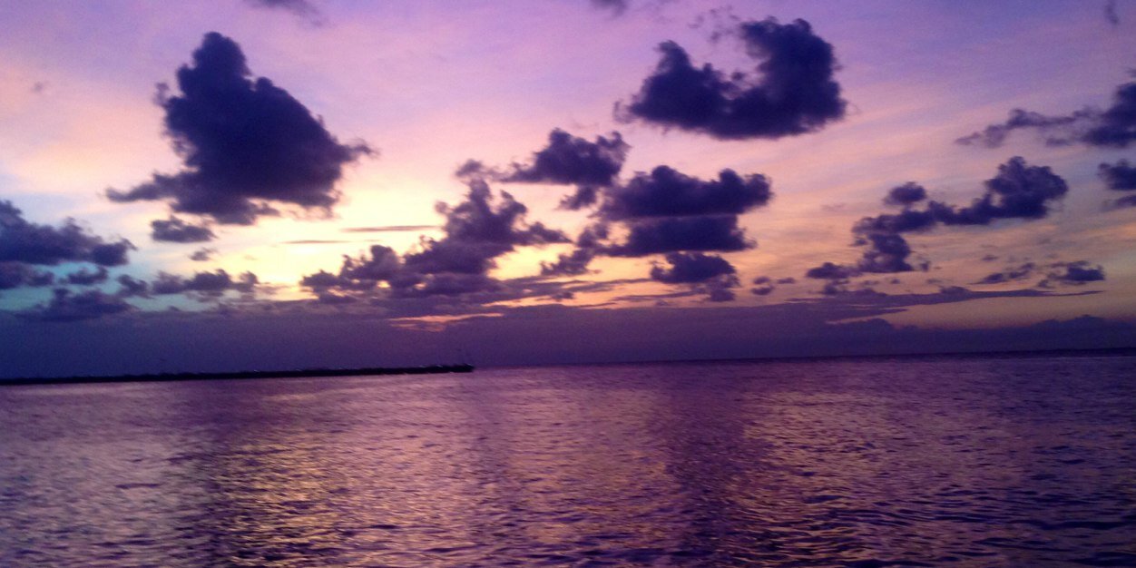 tracy_frint's profile banner image