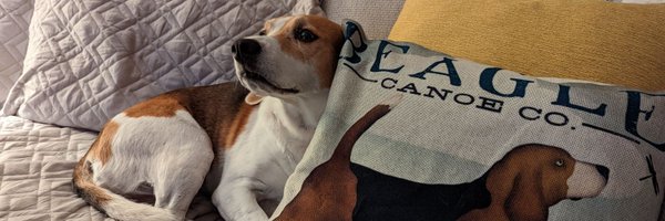 Heastrom Profile Banner