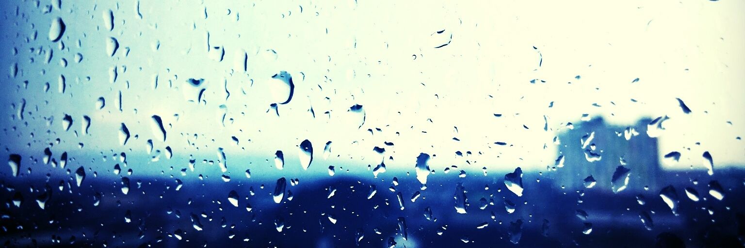 pierre_roger's profile banner image