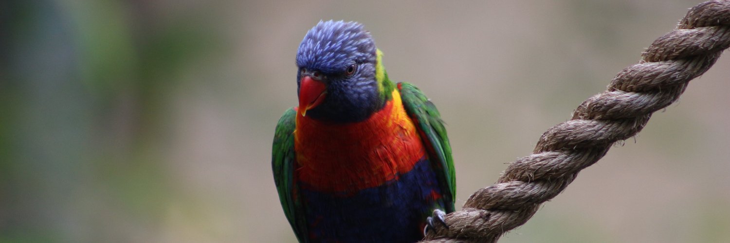 SharnSharnSharn's profile banner image
