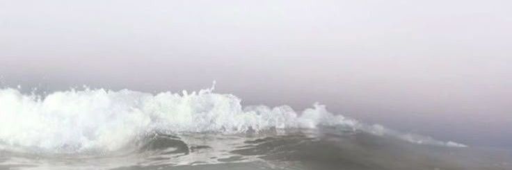 ✿⁠ banner