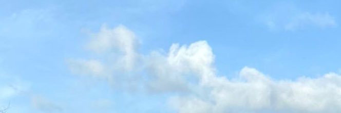 soymargil_'s profile banner image