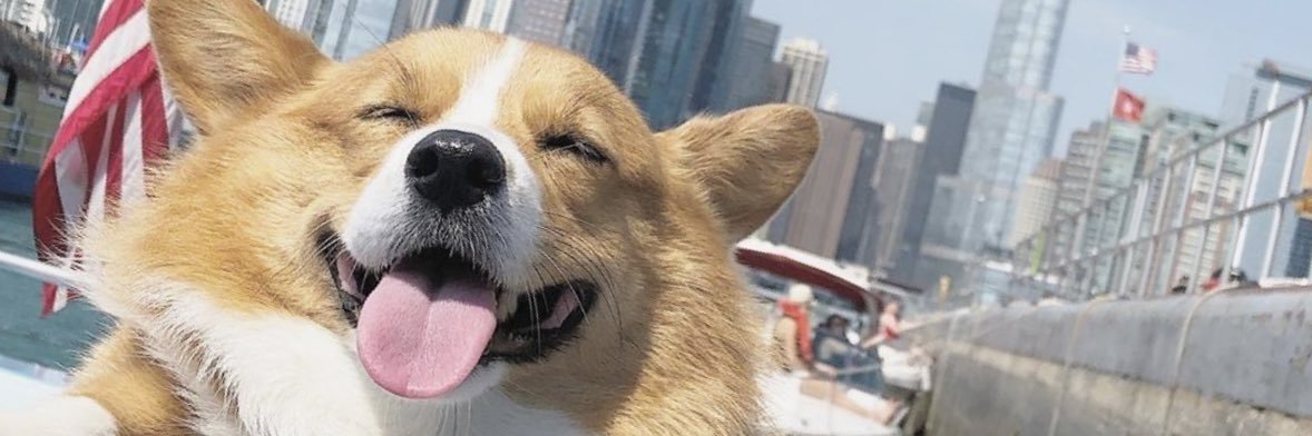 _calvinkao's profile banner image