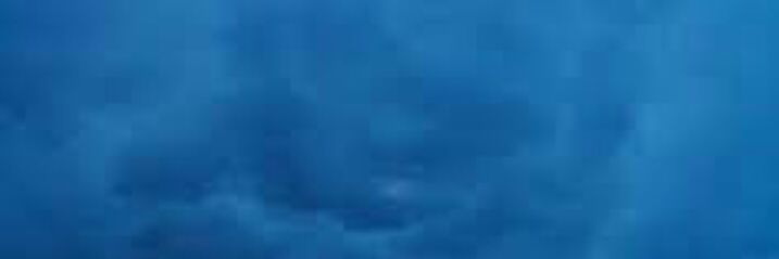 roza772's profile banner image