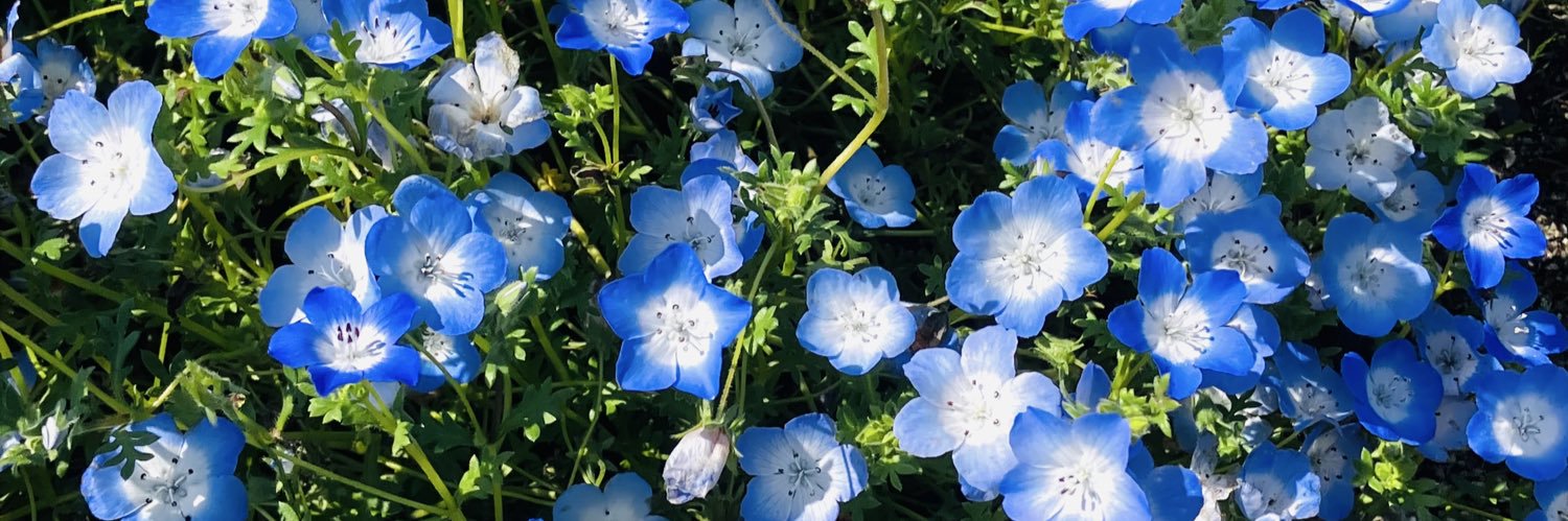 Ree banner