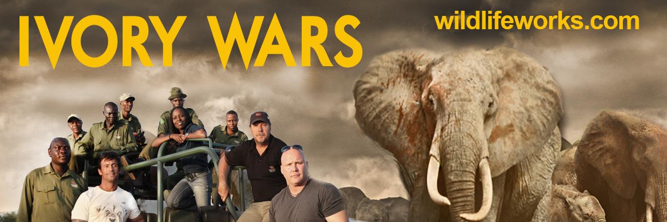 CrossoverProd's profile banner image