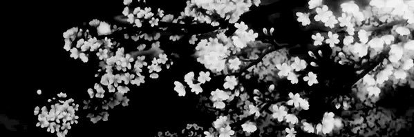 spxdezfv's profile banner image