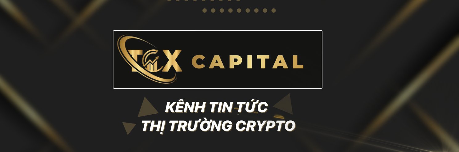 TCX_CAPITAL's profile banner image