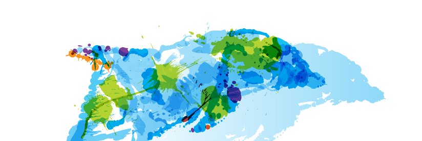 DolphinIndex's profile banner image