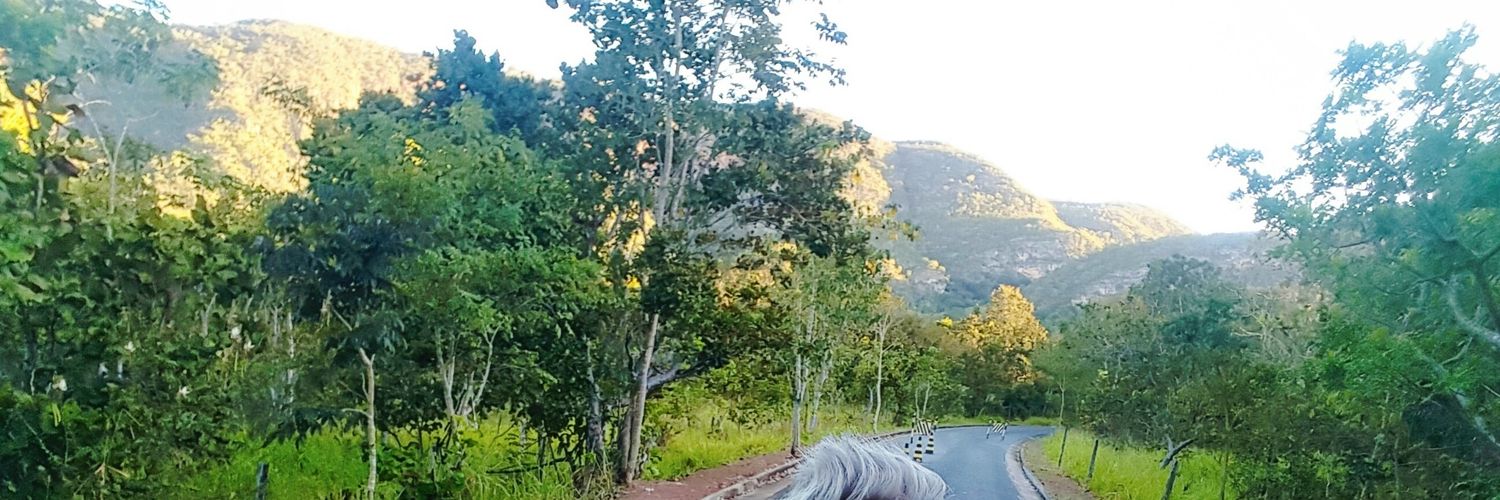 felipealves's profile banner image