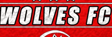 Wolves F.C banner