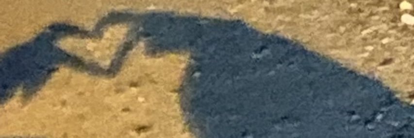 _3l0o's profile banner image